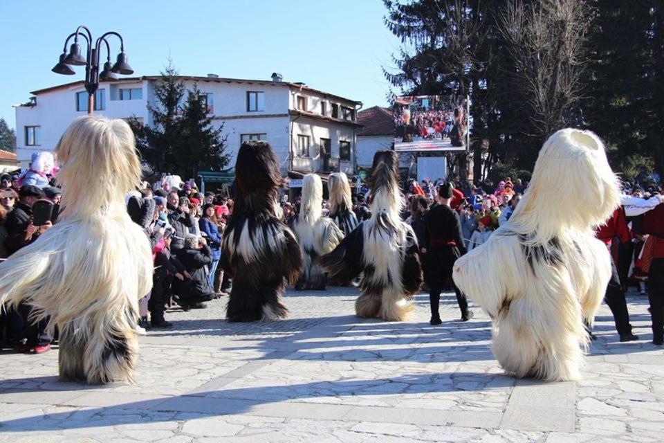 Hotel Alpin - 91 Bansko Extérieur photo