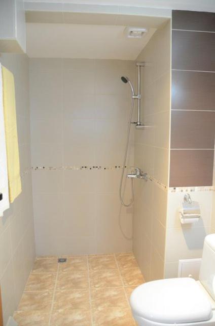 Hotel Alpin - 91 Bansko Extérieur photo