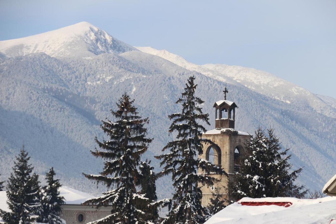 Hotel Alpin - 91 Bansko Extérieur photo